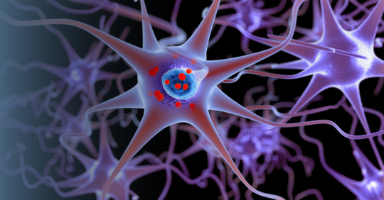 Illustration of a nerve